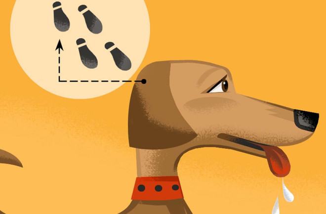 Pavlov Dog