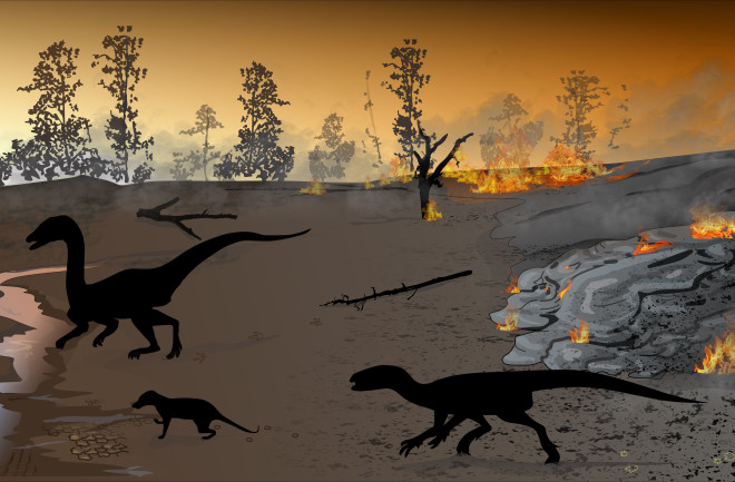 Mass Extinction - Bordy et al. 2020 PLOS ONE