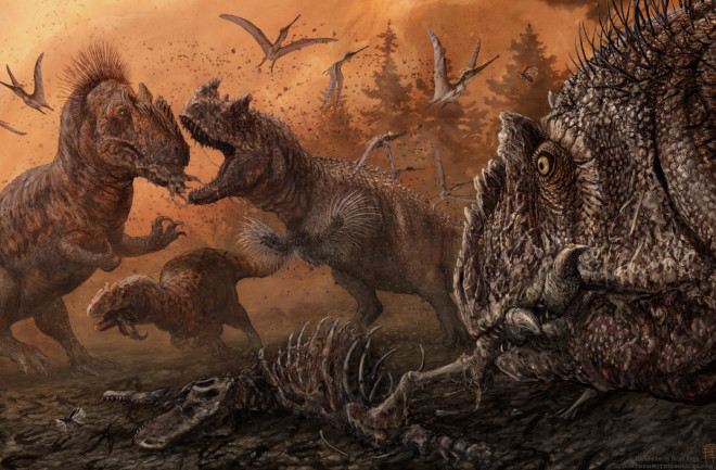 Allosaurus 
