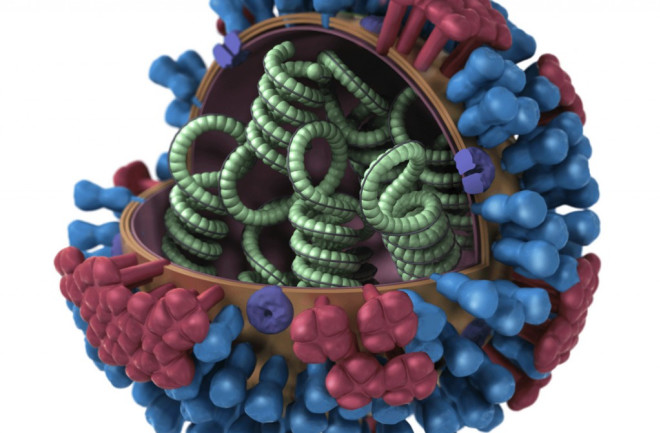 3D_Influenza_transparent_key_pieslice_lrg-1024x859.jpg