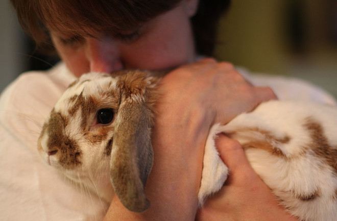 800px-Bunny_Cuddle.jpg