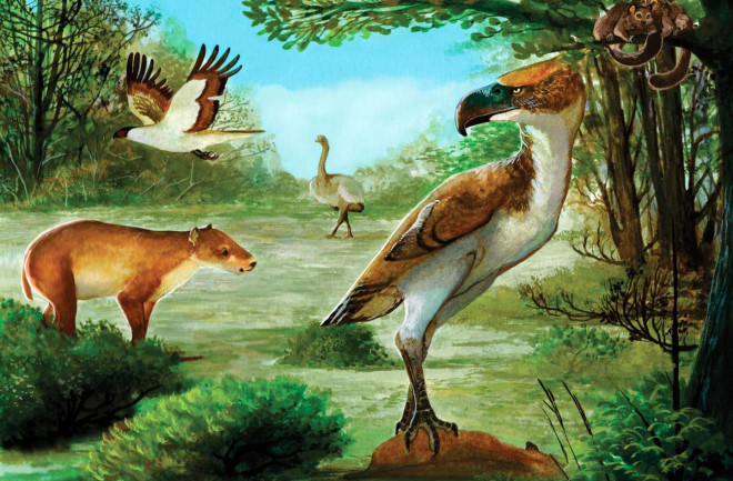 Antarctic terror bird hunting the Notoungulate otiolofos regueroi