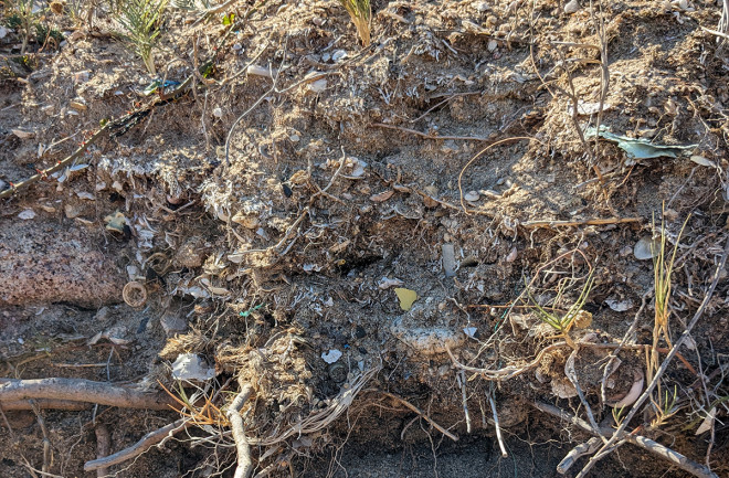 Evidence of human impact in sediment