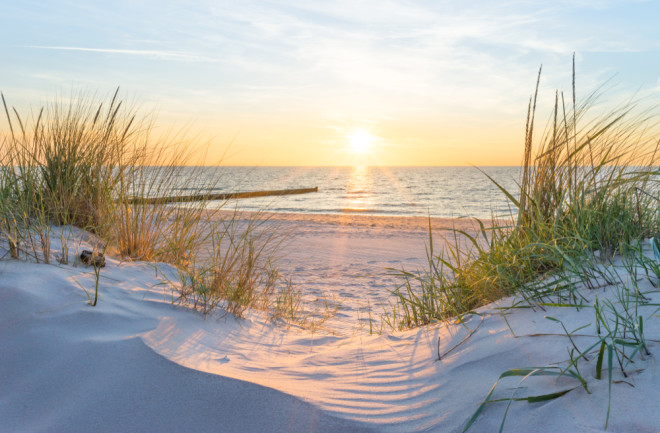 beach-dune-sunset