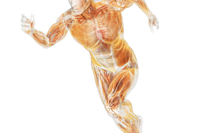 body running