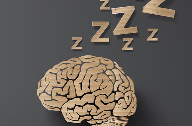 brain-sleep.jpg