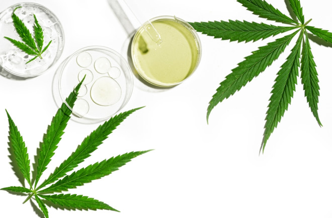 CBD oil and leaves