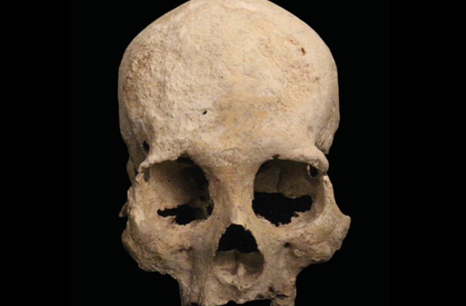 Chan Hol 3 Skull - Stinnesbeck et al. 2020
