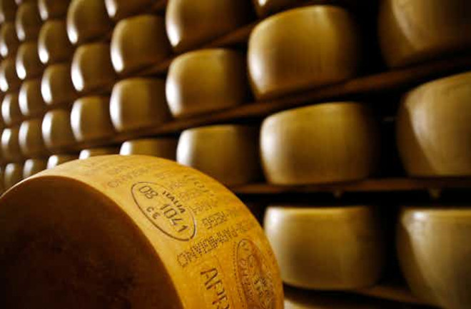 cheese-wheel