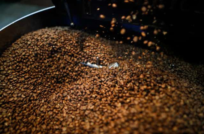 Coffee