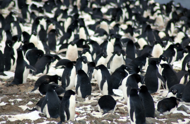 Danger-Islands-Expedition-Image-9-1024x683.jpg