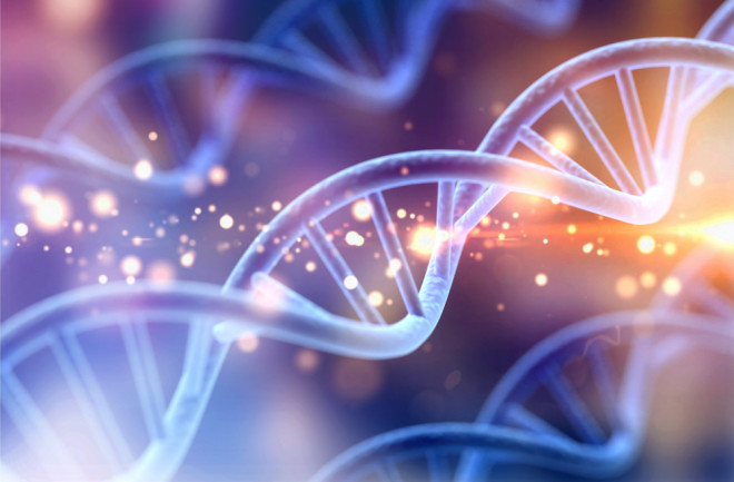 DNA-Helix