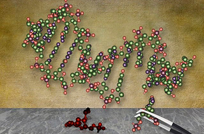 gene.jpg
