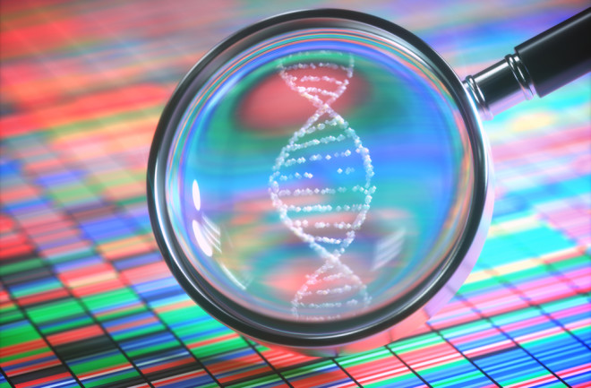DNA - Shutterstock