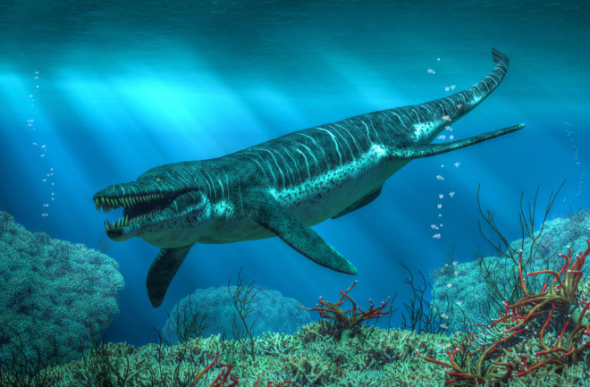 Kronosaurus in the early Cretaceous period