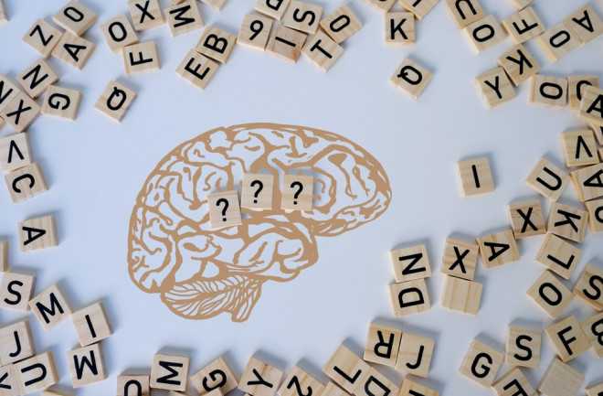 silhouette of brain, word IQ, wooden letters, intelligence quotient on wooden background, quantitative indicator expressing success, concept of level of mind, intellectual achievements testing 