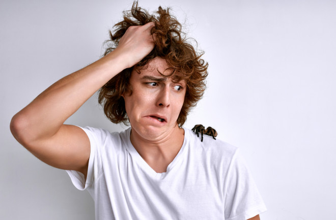 man terrified of tarantula