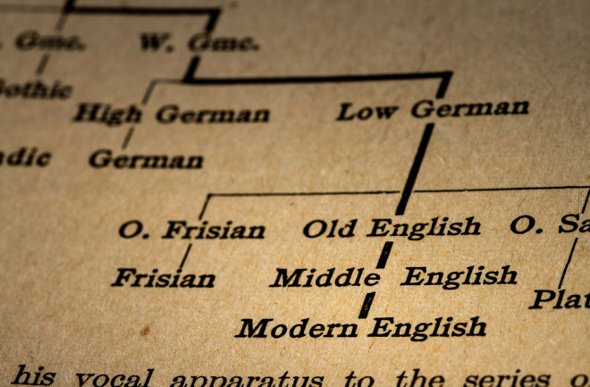 indo-european-language-1600x600