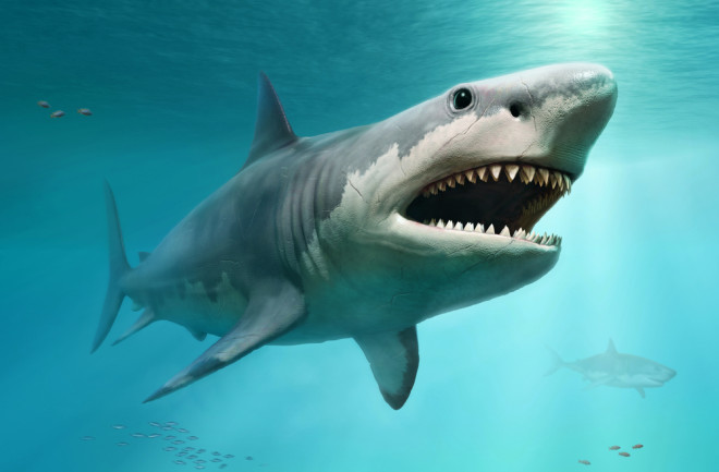 Megalodon scene 3D illustration