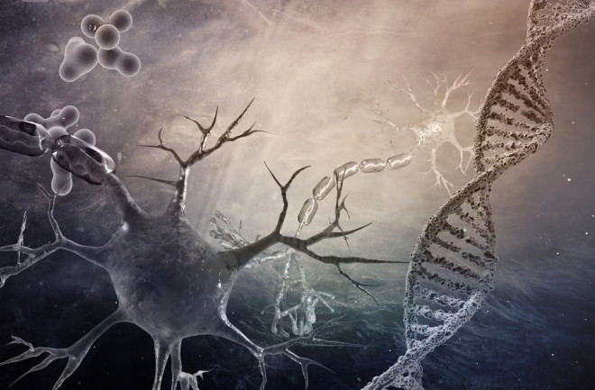 neurons-DNA.jpg