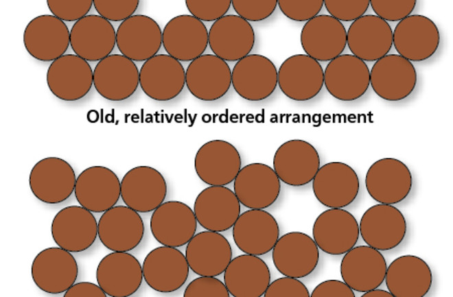 penny-illustration.jpg