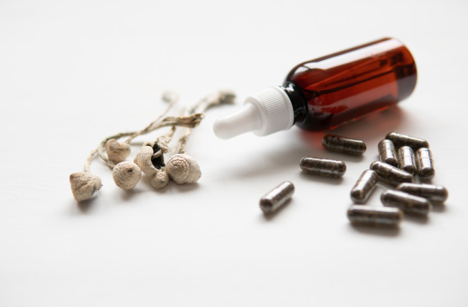 Psilocybin mushroom in natural state and pill form for psychedelic microdosing