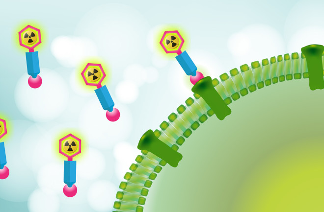 radioligand-therapy-500x288