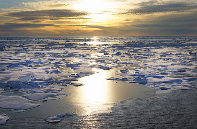 Arctic Sea Ice