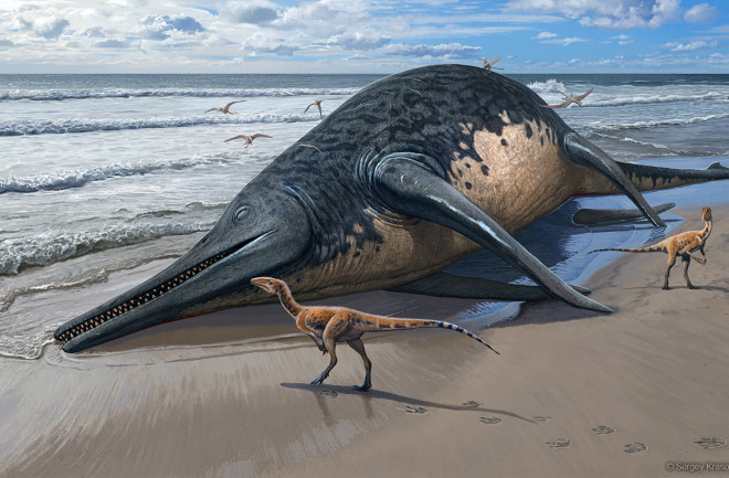 A washed-up Ichthyotitan severnensis carcass on the beach
