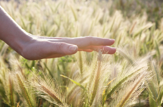 Sense of touch