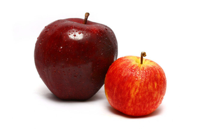 shutterstock_12046510.jpg