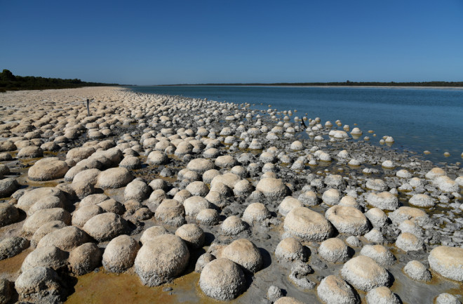 Fossils