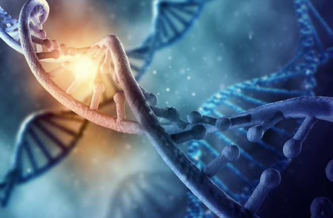 DNA 