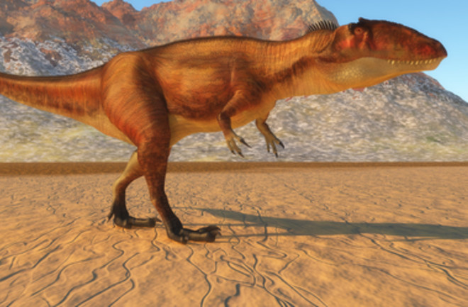 Carcharodontosaurus