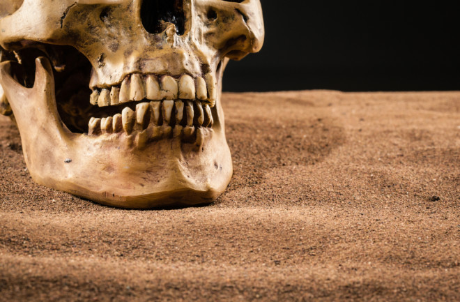 Skull with Teeth