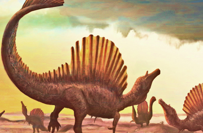 Spinosaurus displaying © Witton 2022
