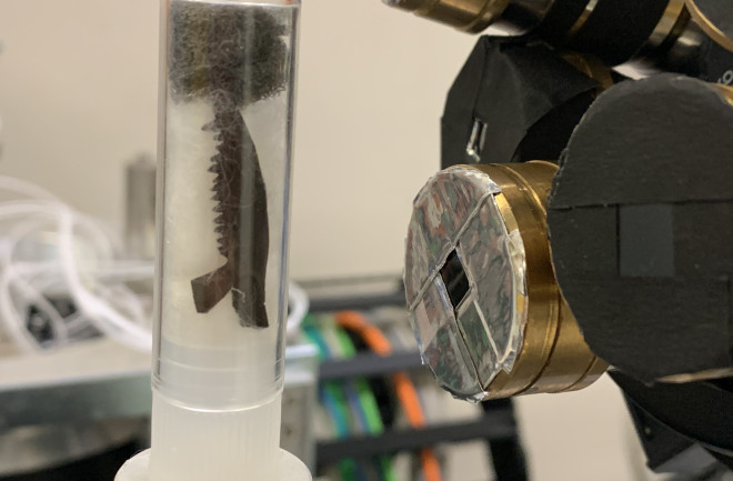 A fossil jaw with rows of fossilized teeth ready for scanning