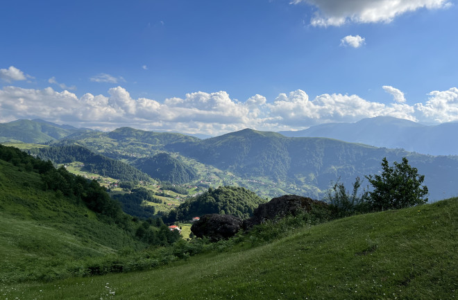 Tonya Valleys