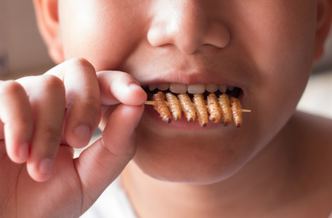 Today, insect eating is on the rise. Did our ancestors chow down on the critters, too? (Credit: CK Bangkok Photography/Shutterstock)