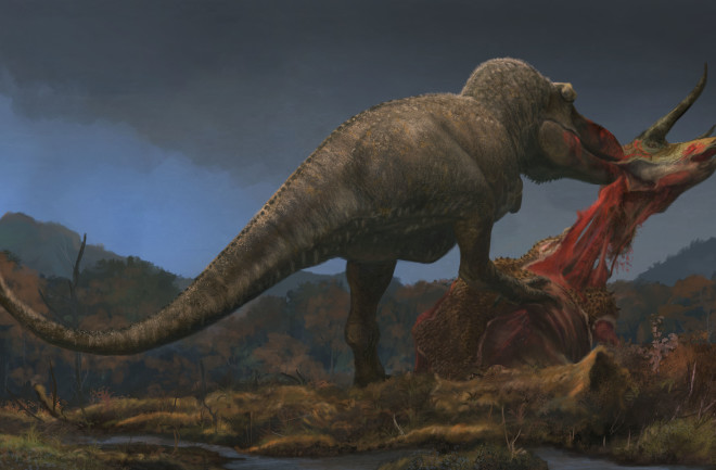 Tyrannosaurus eats Triceratops © Witton 2022 (2)