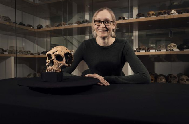 Unflattened Skull of a Neanderthal