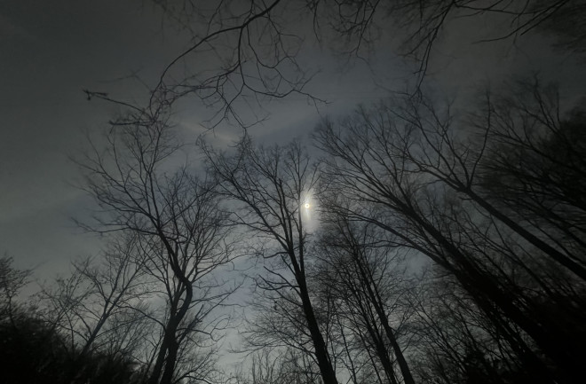 Total Solar Eclipse 