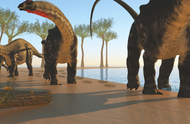 Illustration of a herd of Apatasaurus dinosaurs
