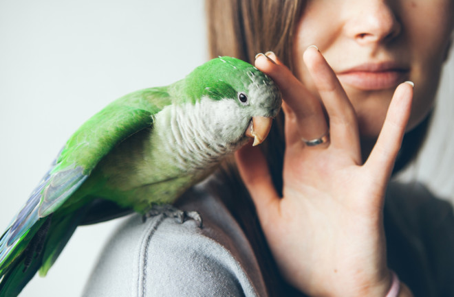 woman with parrot